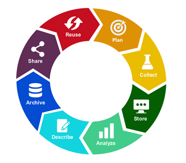 Circular image with 8 segments showing the stages of the research data lifecyle. From clockwise these stages are: Plan (orange), Collect (yellow), Store (dark green), Analyse (turquoise), Describe (aqua blue), Archive (royal blue), Share (aubergine), Re-use (red).